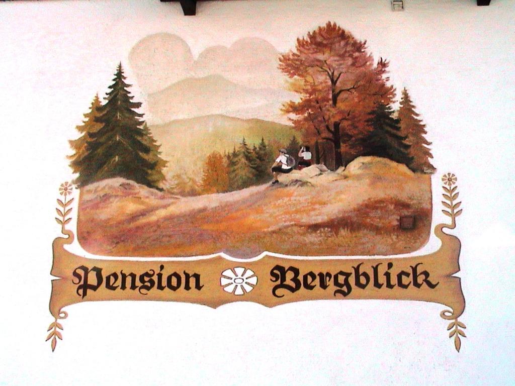 Pension Bergblick Баєріш-Айзенштайн Екстер'єр фото